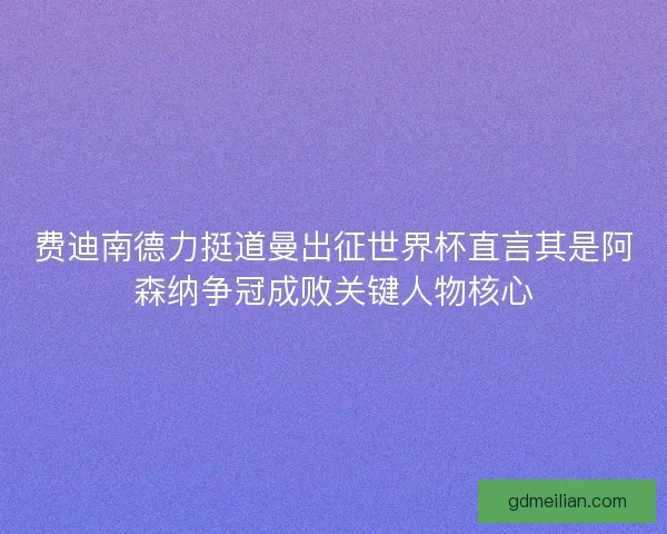费迪南德力挺道曼出征世界杯直言其是阿森纳争冠成败关键人物核心